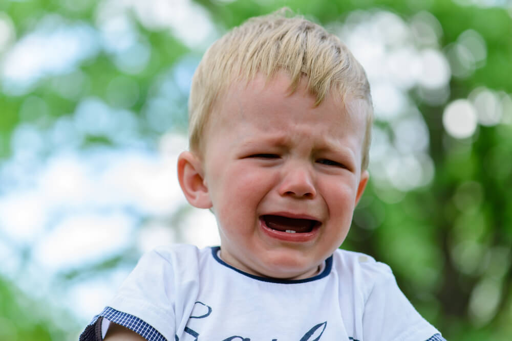 what is a temper tantrum